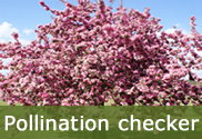 Pollination checking tool